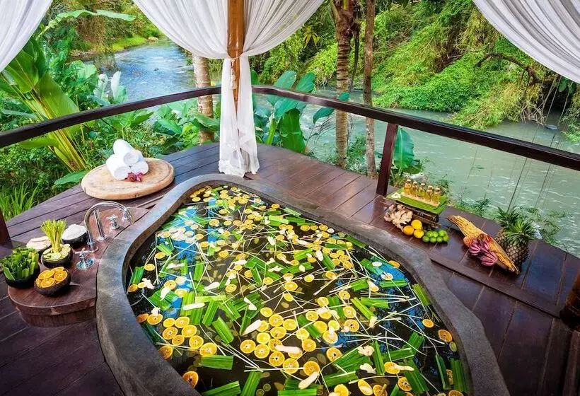 Fotos del hotel Fivelements Retreat Bali:  12