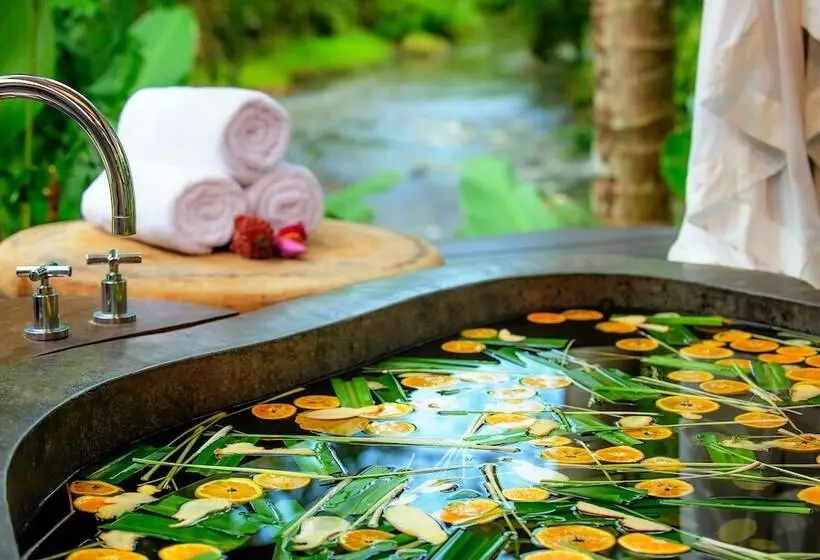 Fotos del hotel Fivelements Retreat Bali:  3