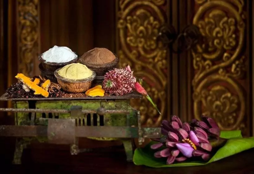 Fotos del hotel Fivelements Retreat Bali:  24