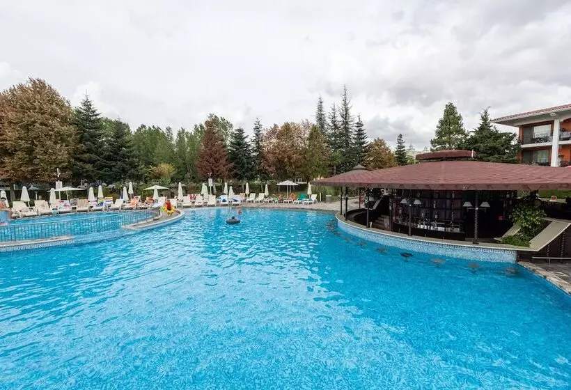 Hrizantema   All Inclusive