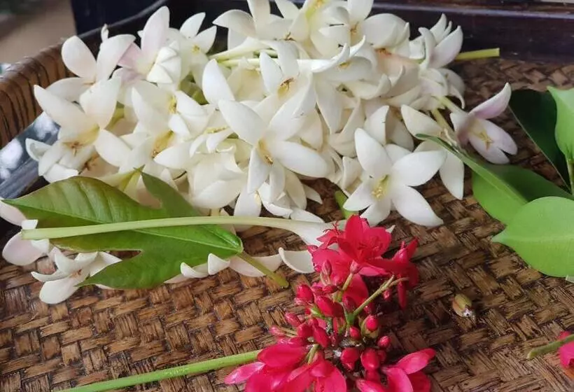 Fotos del hotel Tropicana Lanta Resort:  11