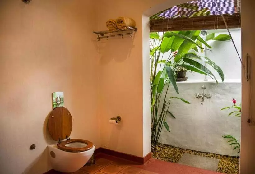 Fotos del hotel Old Harbour:  13