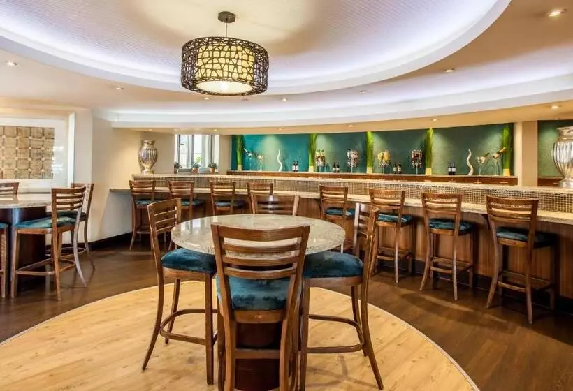 Fotos del hotel City Lodge Hotel Lynnwood:  6