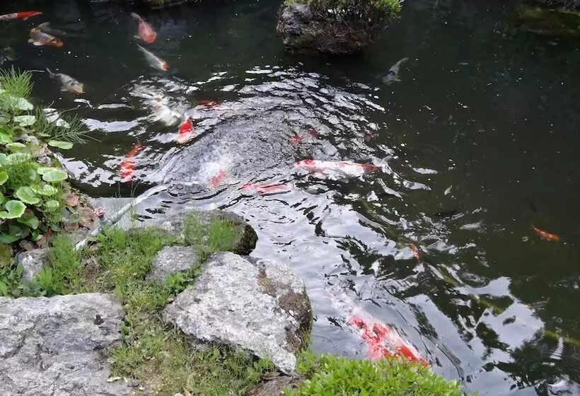 Fotos del hotel Koshinoyado Takashimaya:  14