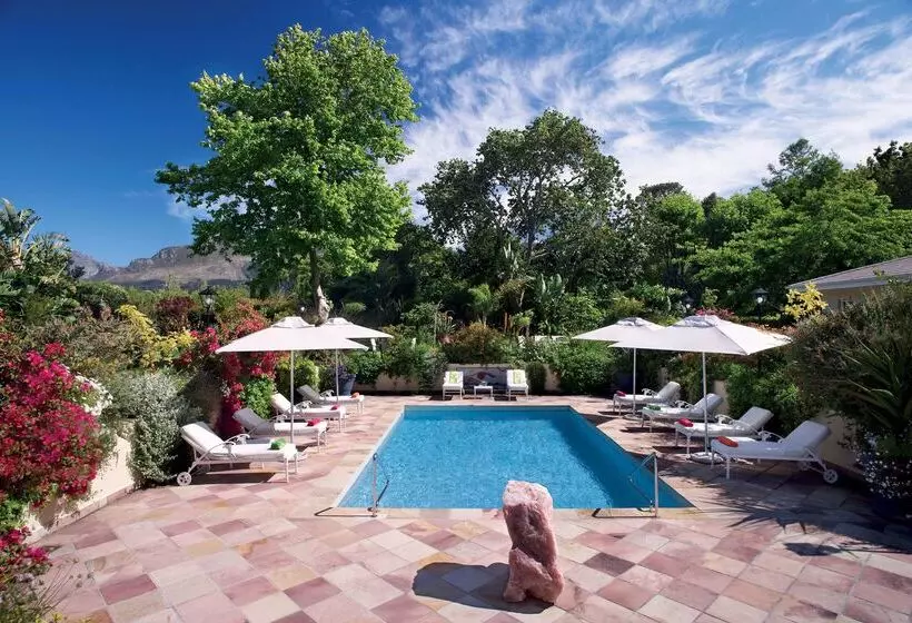 Last Word Constantia