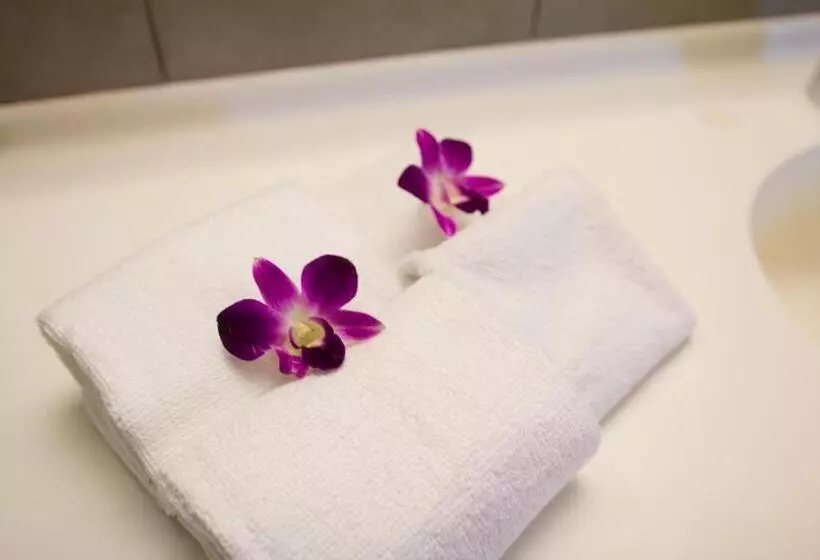 Fotos del hotel Maluri:  15