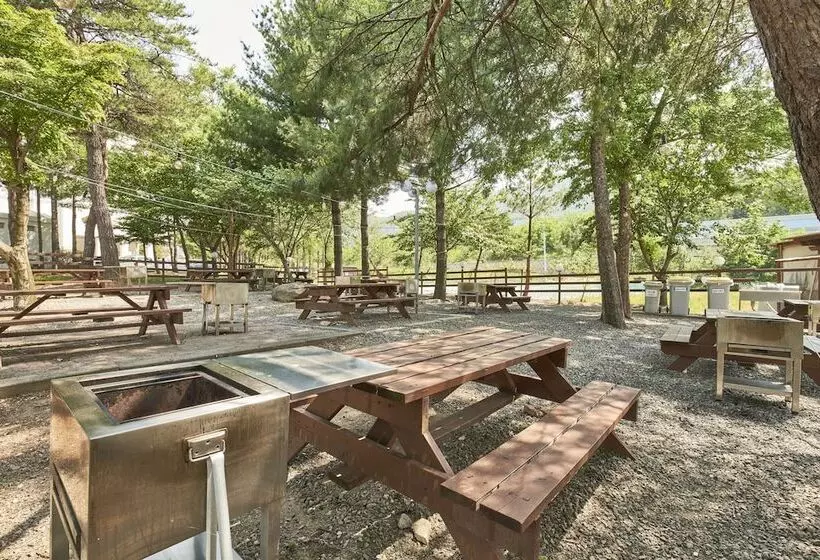 Fotos del hotel Seorak Kumho Resort:  15