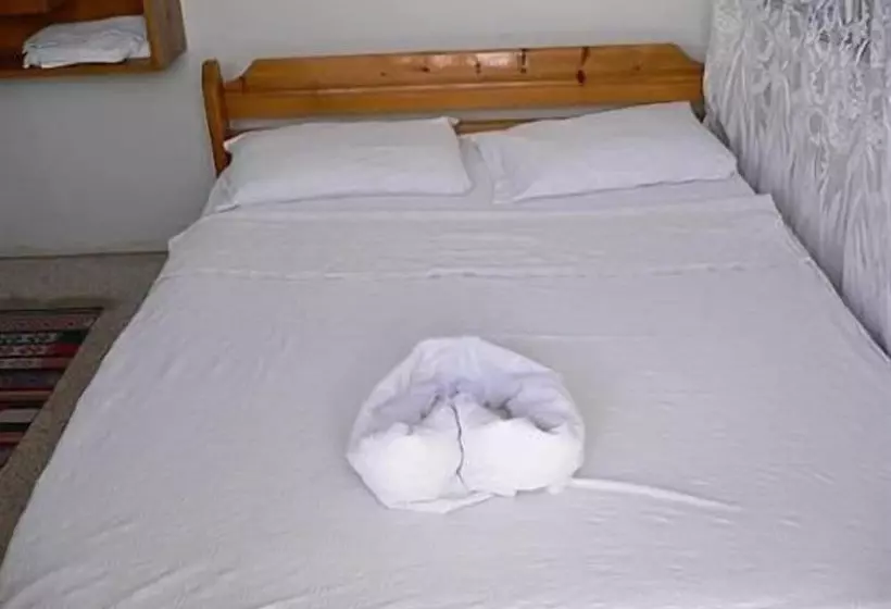 Fotos del hotel Vardar Pension:  25