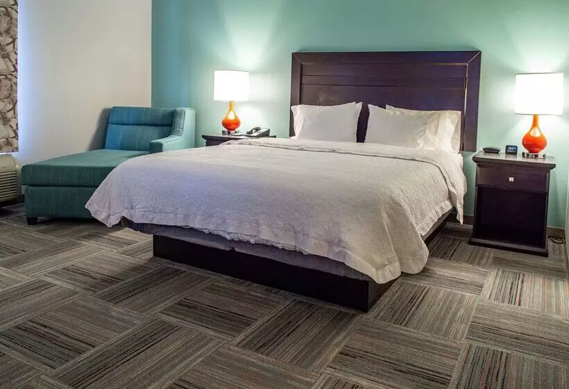 Fotos del hotel Hampton Inn Miami:  4