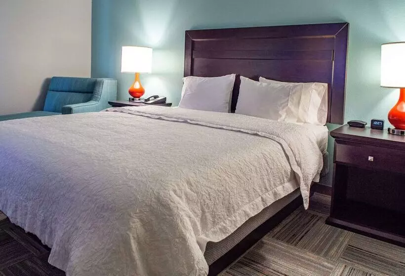 Fotos del hotel Hampton Inn Miami:  9