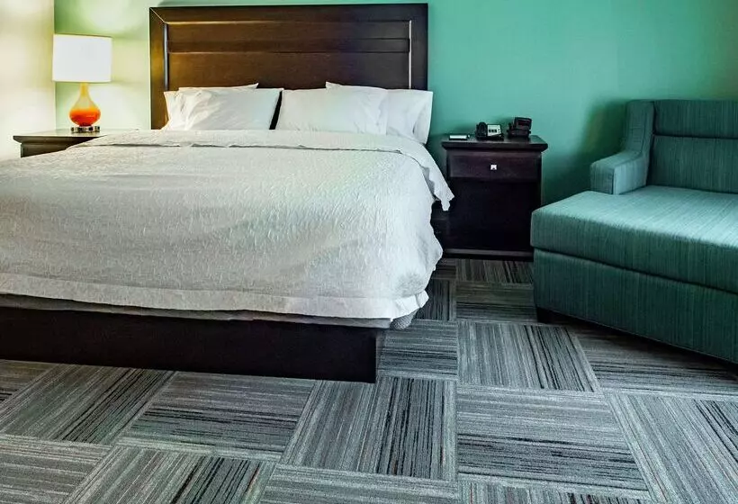 Fotos del hotel Hampton Inn Miami:  18