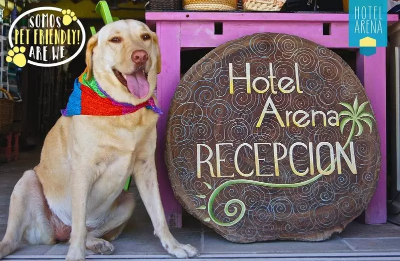 Fotos del hotel Arena:  7