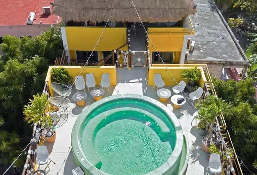 Fotos del hotel Arena:  3