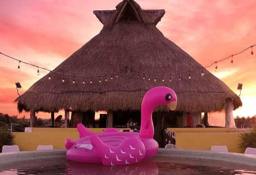 Fotos del hotel Arena:  10