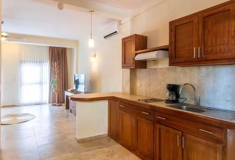 Fotos del hotel Arena:  5