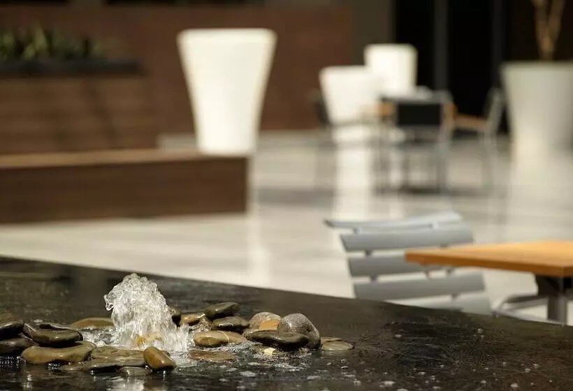 Fotos del hotel Courtyard By Marriott Mexico City Airport:  15