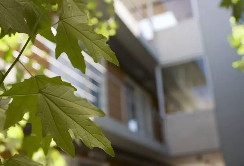 Fotos del hotel Didi Rooms:  7