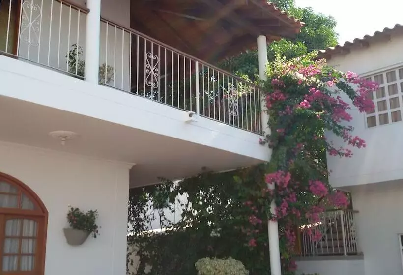 Fotos del hotel Palma Blanca Del Mar:  6