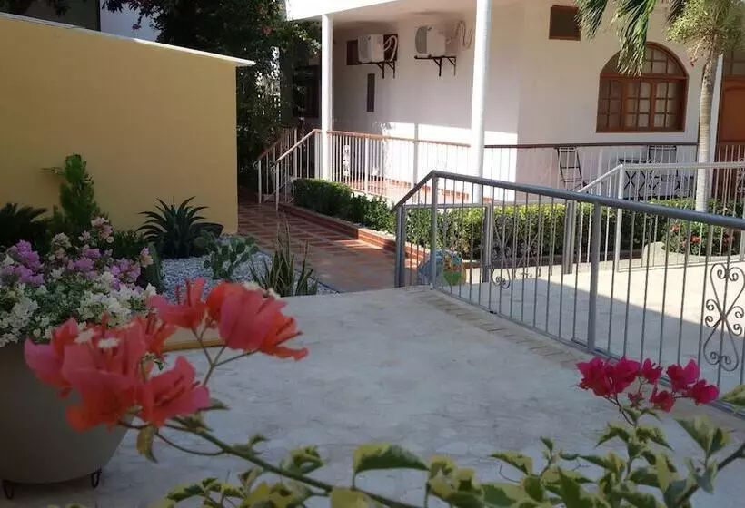 Fotos del hotel Palma Blanca Del Mar:  8