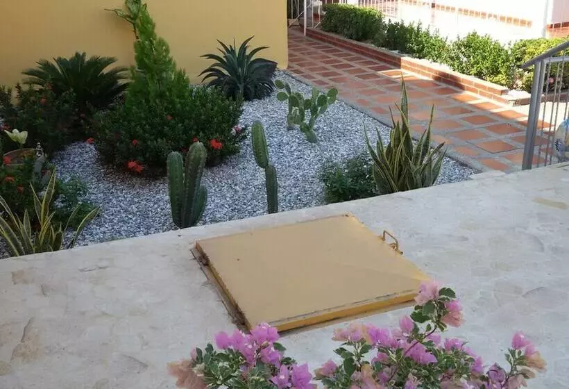 Fotos del hotel Palma Blanca Del Mar:  14