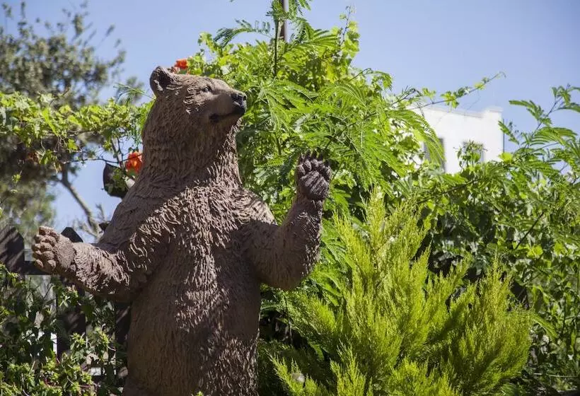 Fotos del hotel Crystal Hotel Bodrum All Inclusive:  13