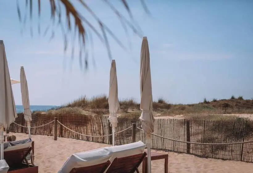 Fotos del hotel Hard Rock Hotel Ibiza:  13