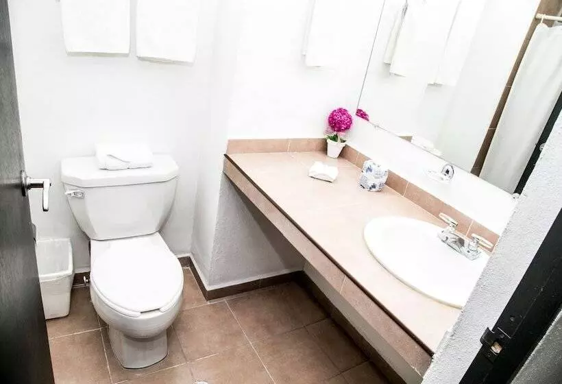 Fotos del hotel Suites Dioh:  20