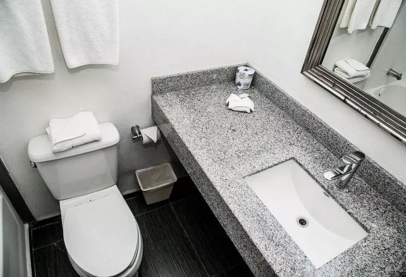 Fotos del hotel Suites Dioh:  15