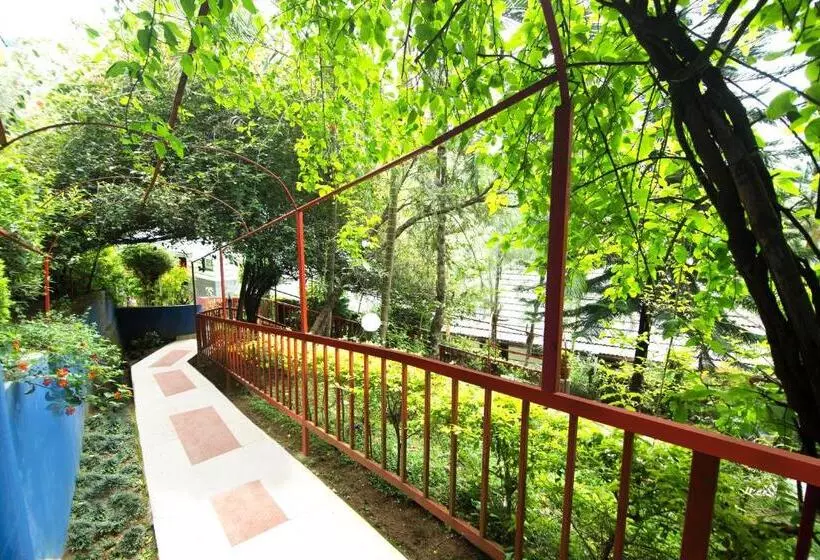 Fotos del hotel The New Whispering Meadows:  15