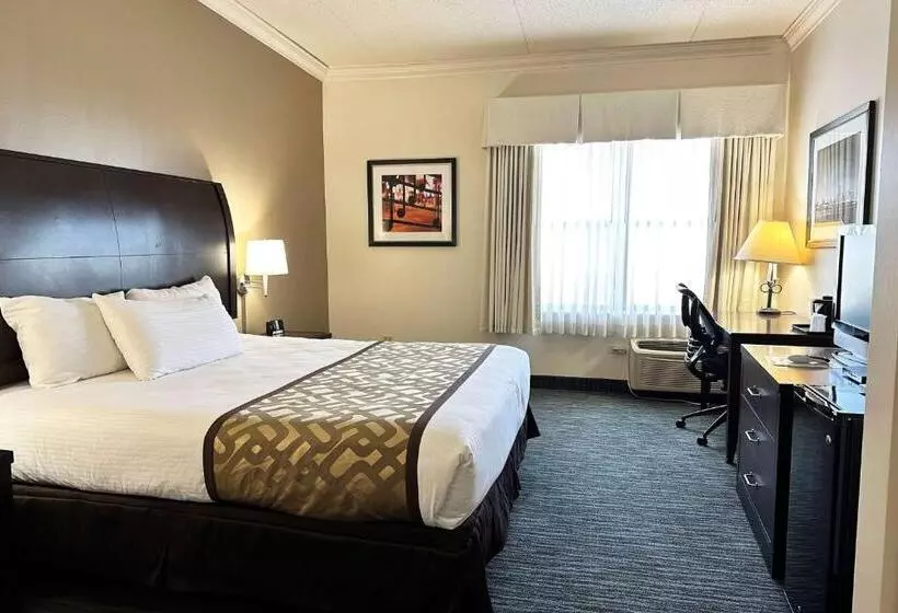 Fotos del hotel Chicago South Loop:  16