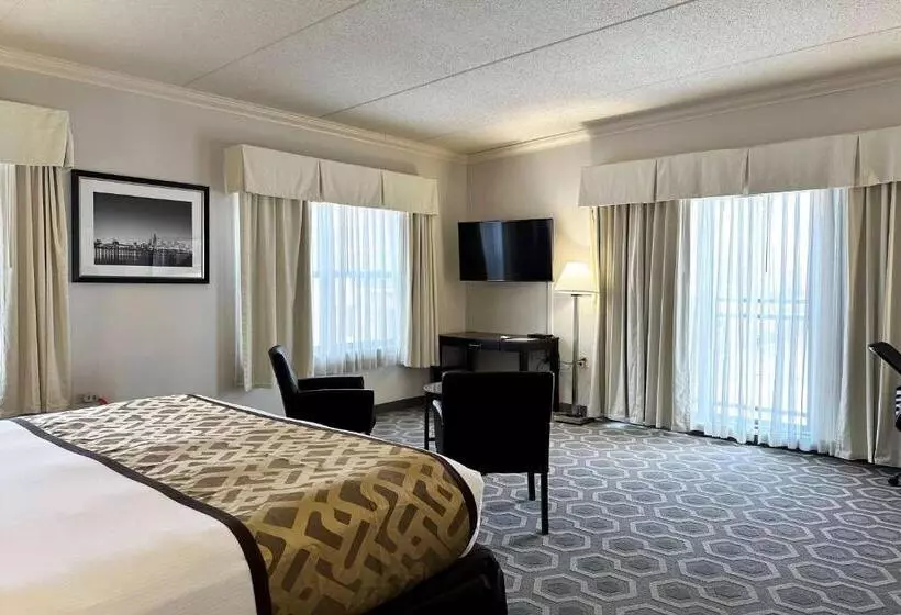 Fotos del hotel Chicago South Loop:  15