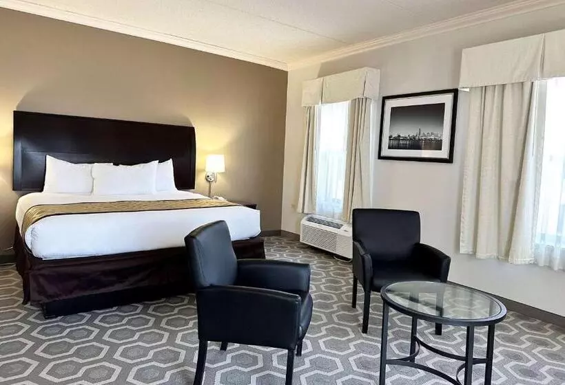 Fotos del hotel Chicago South Loop:  21