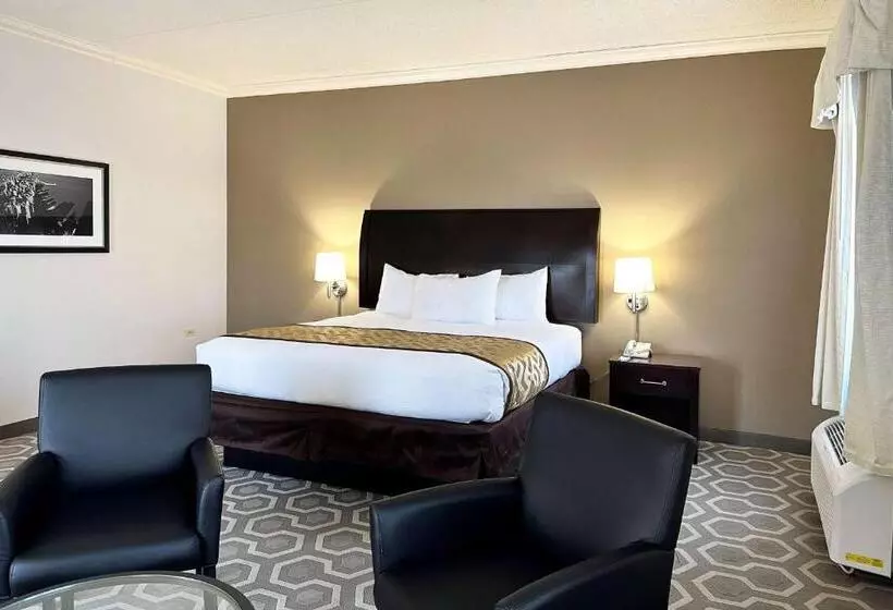 Fotos del hotel Chicago South Loop:  14