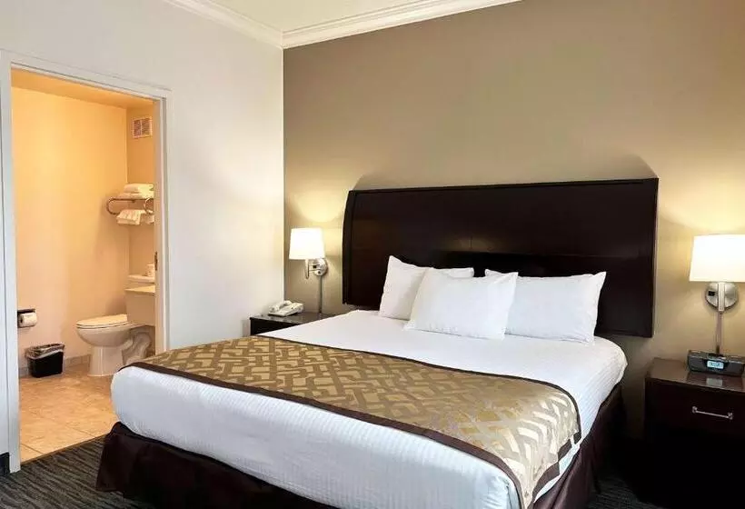 Fotos del hotel Chicago South Loop:  23