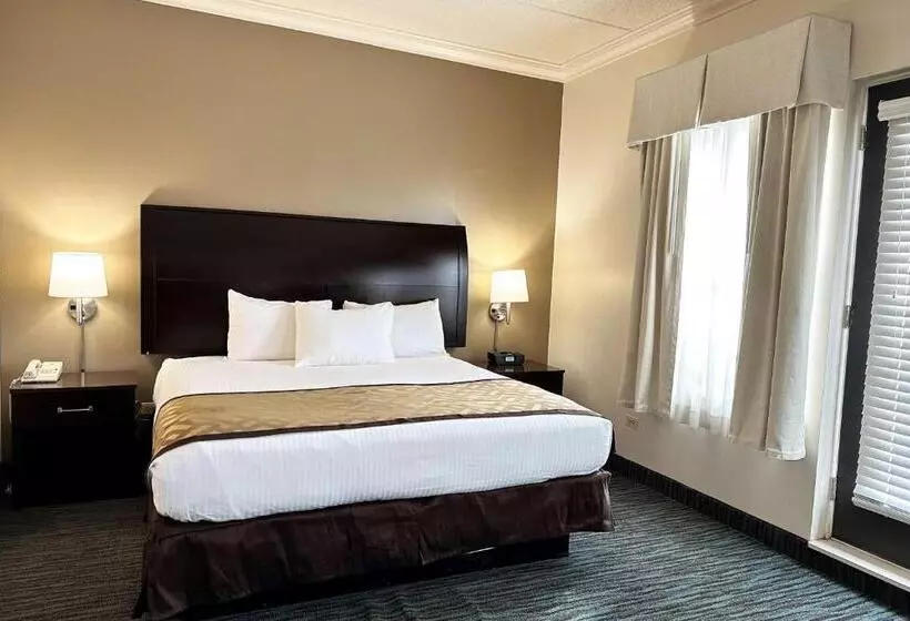 Fotos del hotel Chicago South Loop:  11