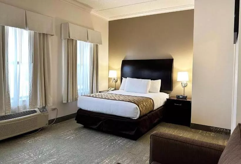 Fotos del hotel Chicago South Loop:  12