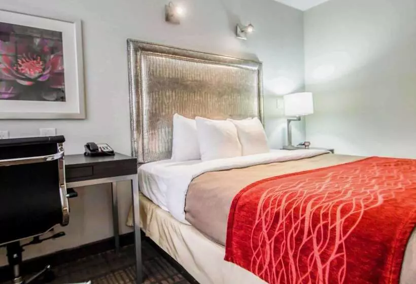 Fotos del hotel Comfort Inn Manhattan  Midtown West:  17