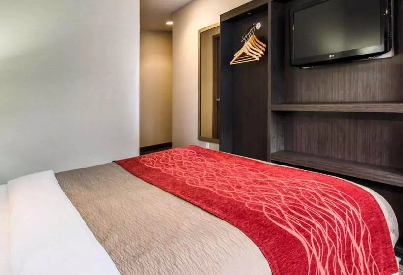 Fotos del hotel Comfort Inn Manhattan  Midtown West:  12