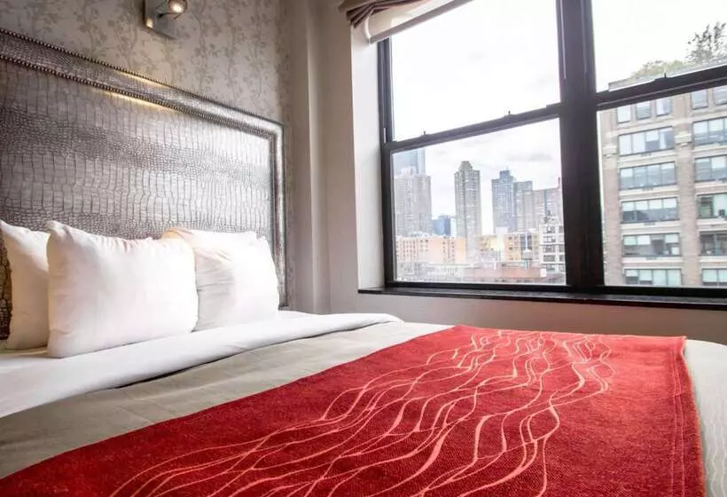 Fotos del hotel Comfort Inn Manhattan  Midtown West:  25
