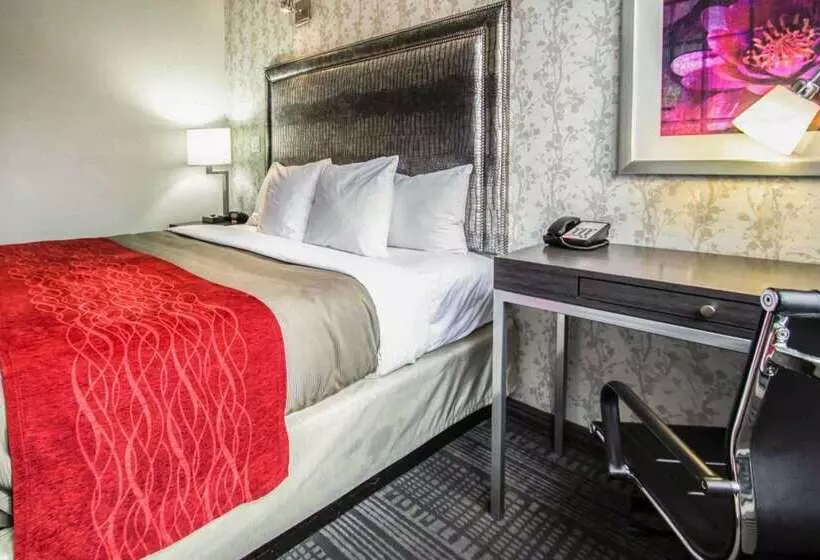 Fotos del hotel Comfort Inn Manhattan  Midtown West:  15