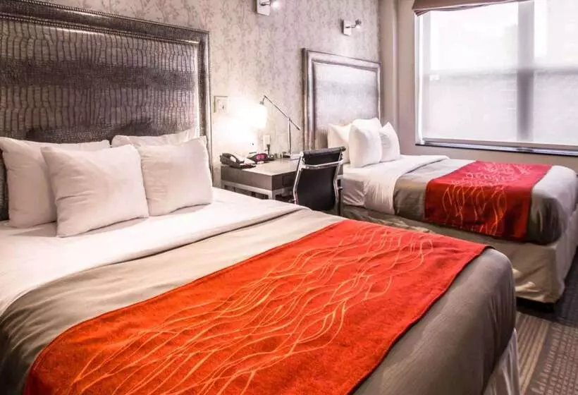 Fotos del hotel Comfort Inn Manhattan  Midtown West:  8