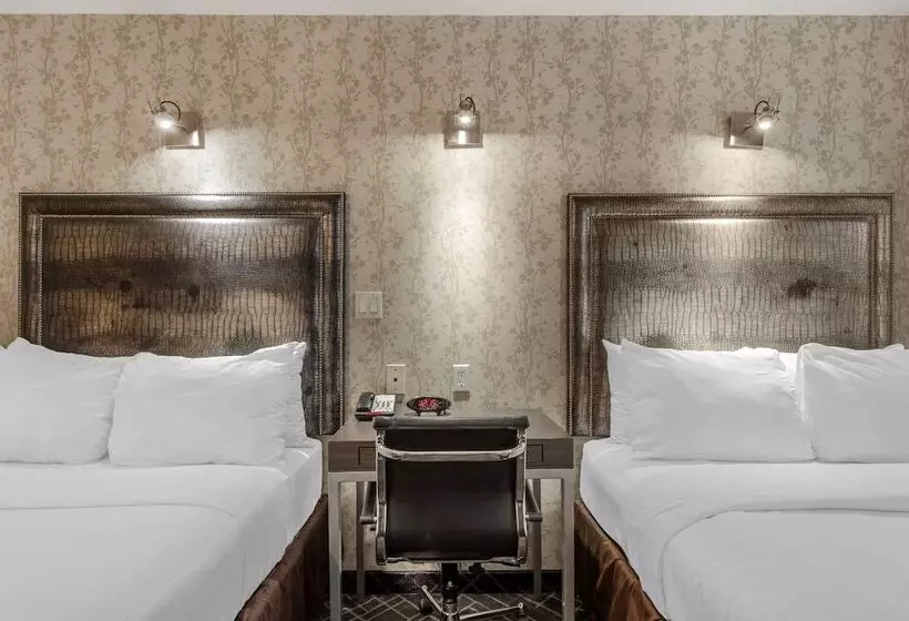 Fotos del hotel Comfort Inn Manhattan  Midtown West:  18