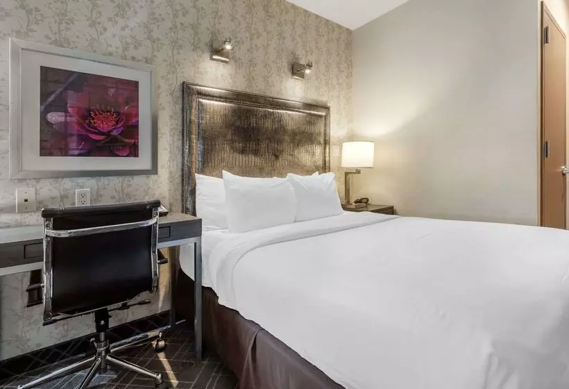 Fotos del hotel Comfort Inn Manhattan  Midtown West:  20