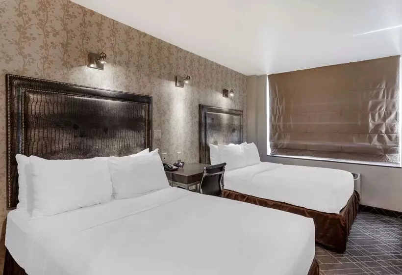 Fotos del hotel Comfort Inn Manhattan  Midtown West:  6