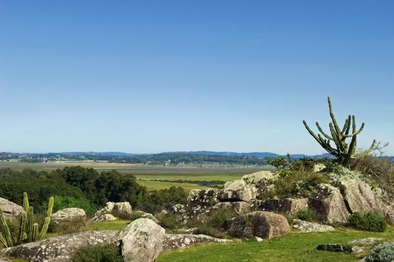Fotos del hotel Fasano Punta Del Este:  8