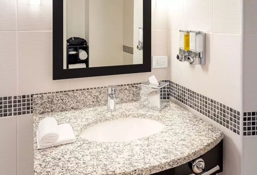 Fotos del hotel Hampton By Hilton Clujnapoca:  7