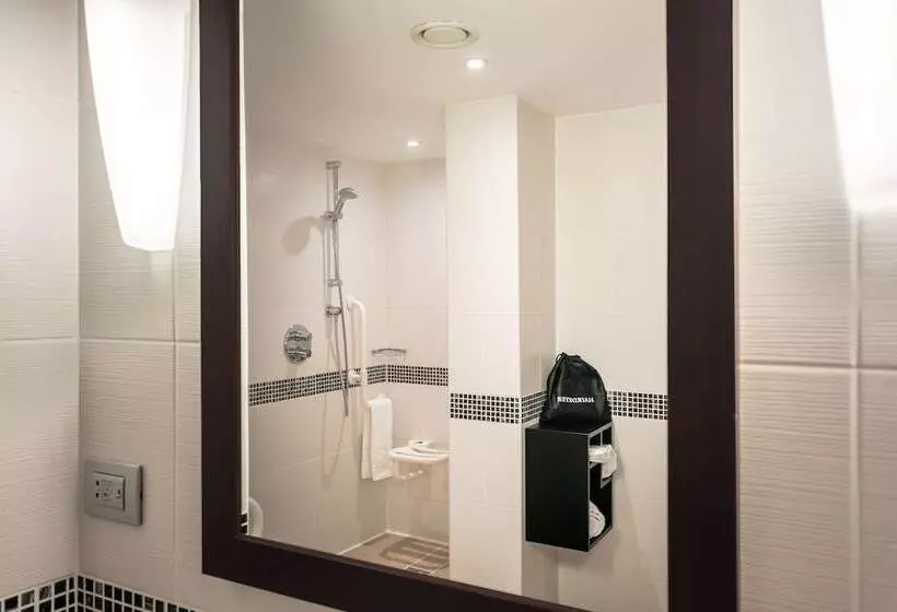 Fotos del hotel Hampton By Hilton Clujnapoca:  25