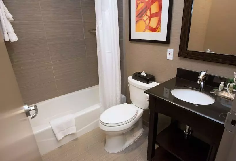 Fotos del hotel Holiday Inn Lower East Side, An Ihg:  20