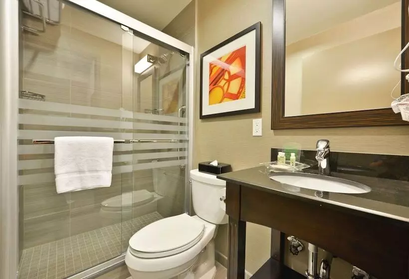 Fotos del hotel Holiday Inn Lower East Side, An Ihg:  15