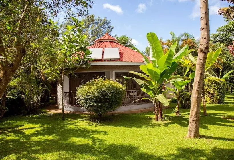 Fotos del hotel Arusha Planet Lodge:  8